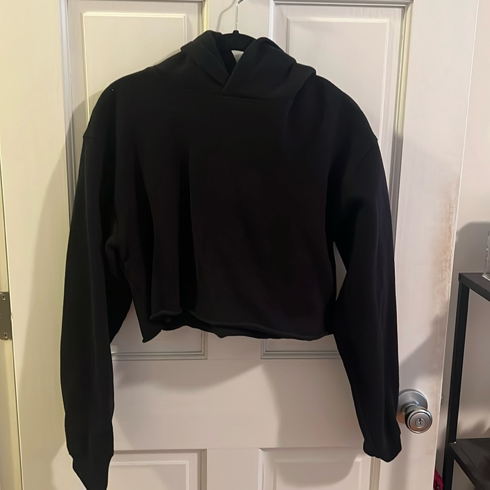 Aritzia cropped hoddie